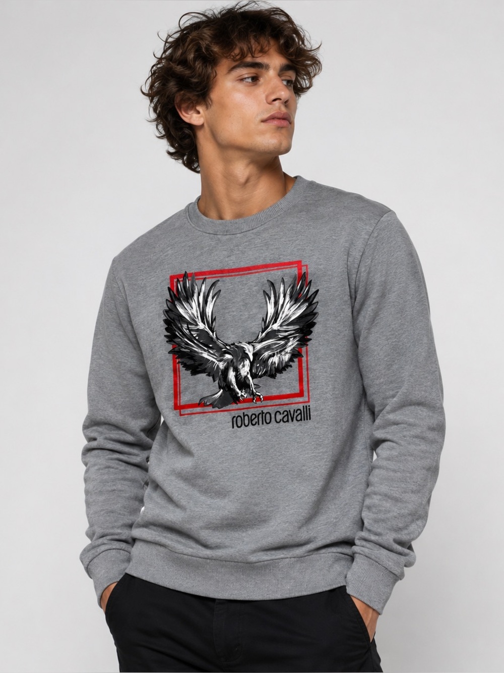 Roberto Cavalli Men’s Gray Graphic Sweatshirt Eagle Crewneck Pullover Size Large